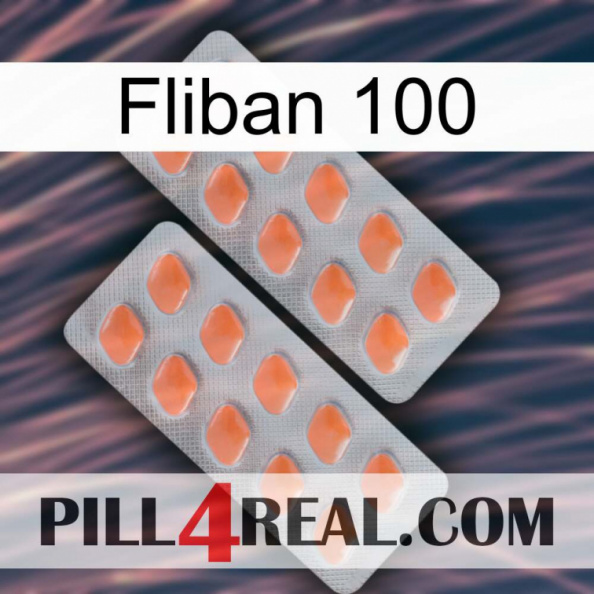 Fliban 100 27